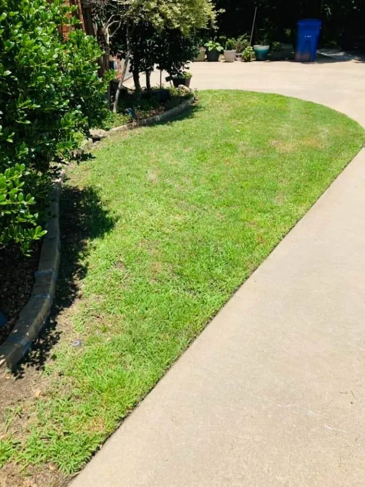 Professional outdoor landscaping for year-round maintenance across Knollwood, TX - Lopez Lawns & Landscaping