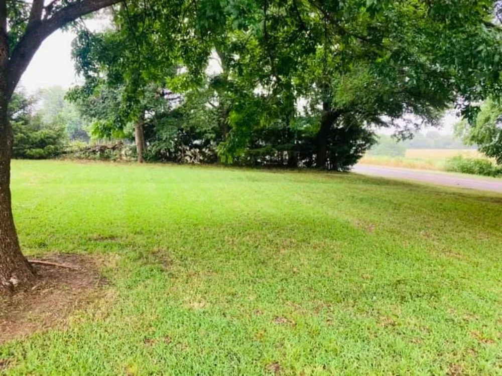 Reliable lawn care service in Knollwood, TX - Lopez Lawns & Landscaping