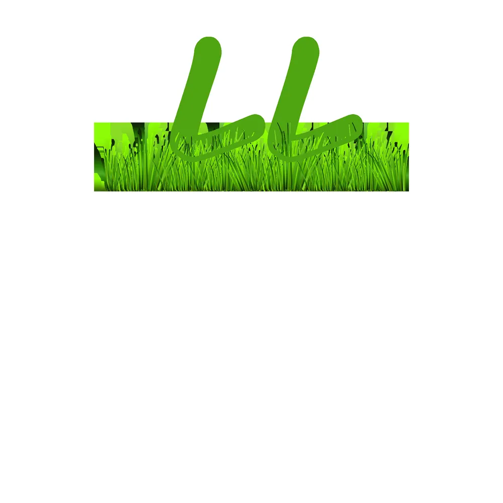 Top-rated landscape design for beautiful yards across Topeka, KS - Lopez Lawns