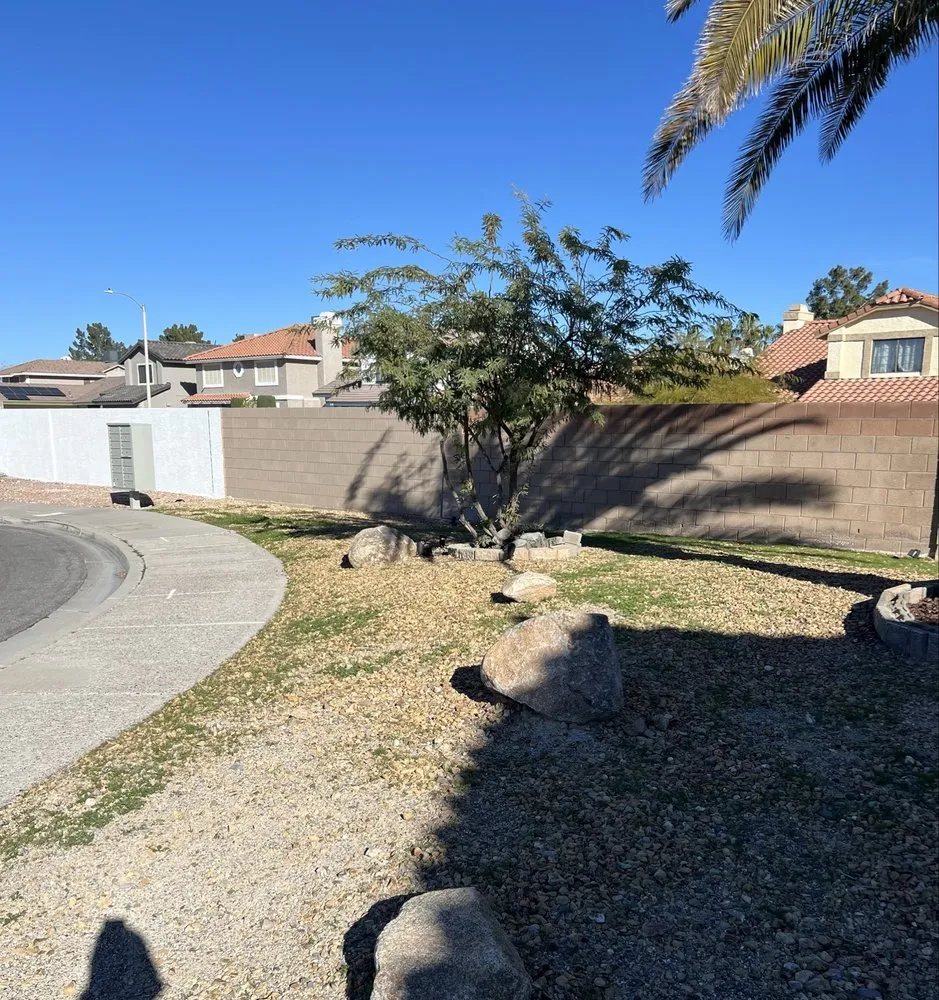 Trusted yard maintenance for year-round maintenance in Las Vegas, NV by Lopez Maintenance