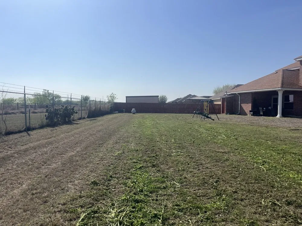 Local landscape design for residential properties across Alamo, TX - Lopez Mowing