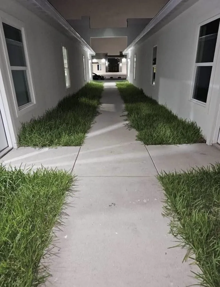 Expert lawn care service in Alamo, TX - Lopez Mowing