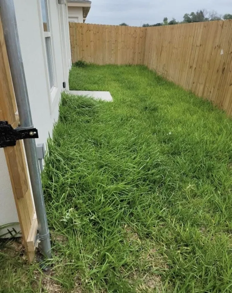 Reliable landscape design for residential properties across Alamo, TX - Lopez Mowing