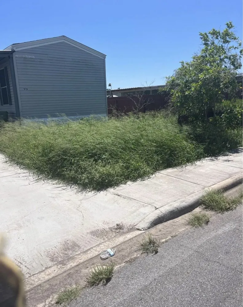 Local yard maintenance in Alamo, TX by Lopez Mowing