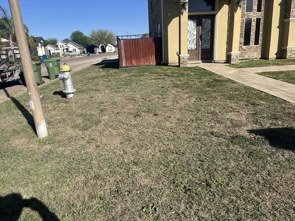 Top-rated lawn care service with custom design in Alamo, TX by Lopez Mowing