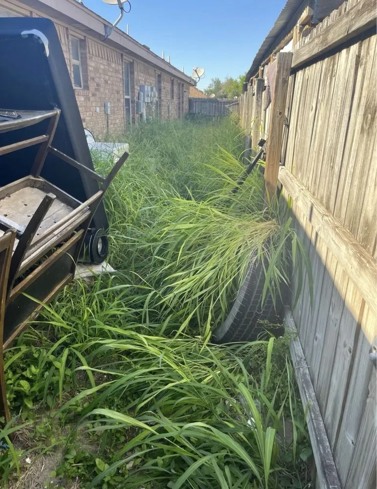 Trusted landscape design near you across Alamo, TX - Lopez Mowing