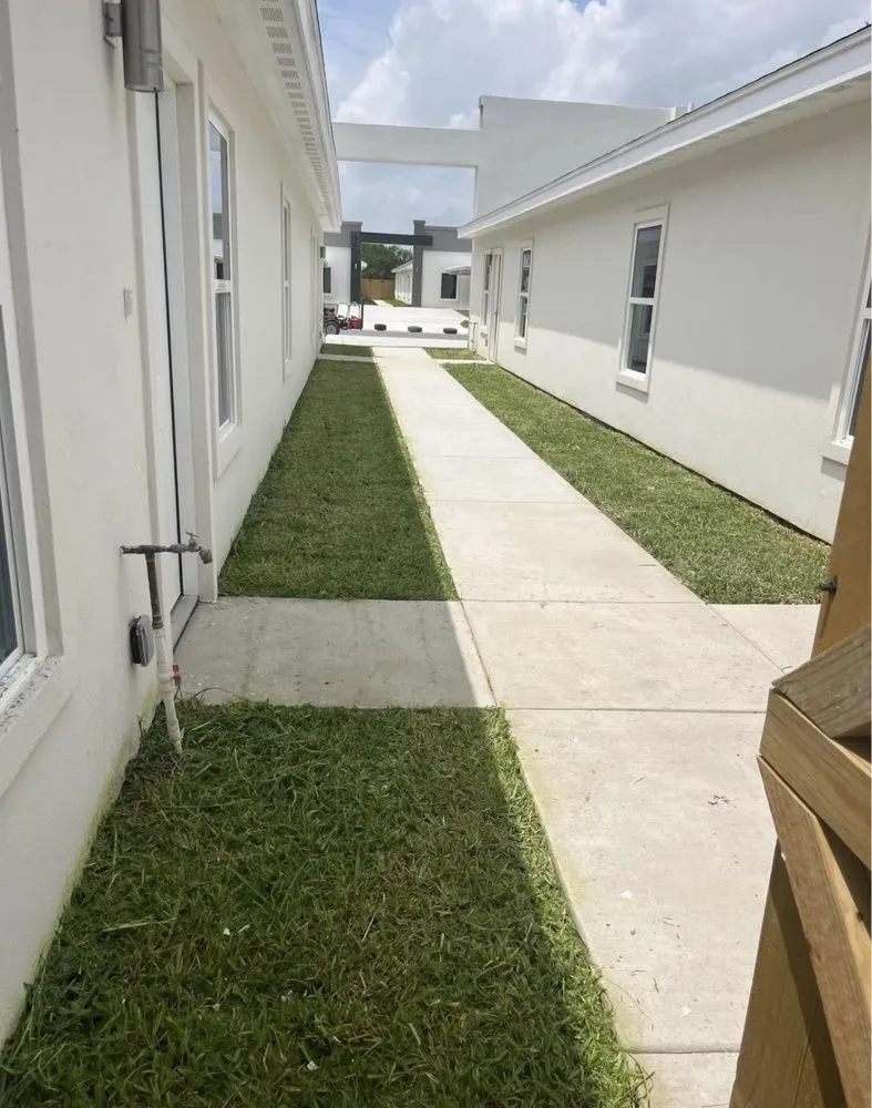 Trusted lawn care service in Alamo, TX by Lopez Mowing