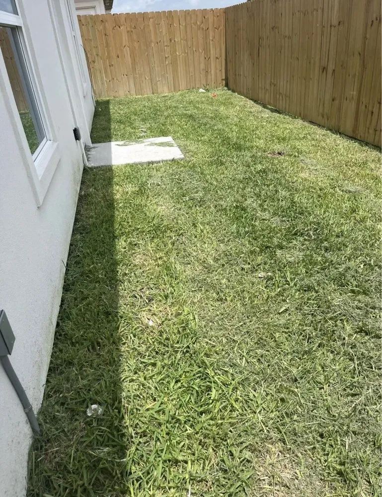 Affordable landscaping services in Alamo, TX by Lopez Mowing