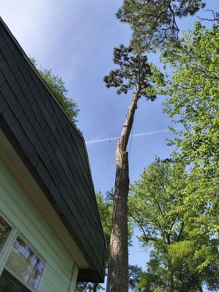 Expert lawn mowing service with custom design in Kitty Hawk, NC by Lopez N Lanscaping & Repar Irrigation