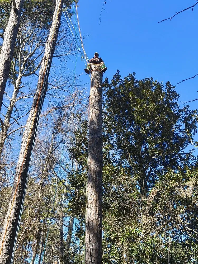 Professional residential landscaping with custom design in Kitty Hawk, NC by Lopez N Lanscaping & Repar Irrigation