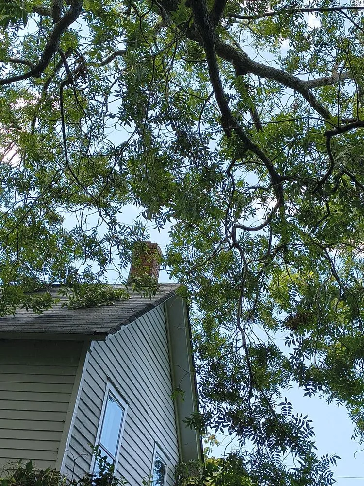 Affordable yard maintenance experts serving Kitty Hawk, NC - Lopez N Lanscaping & Repar Irrigation