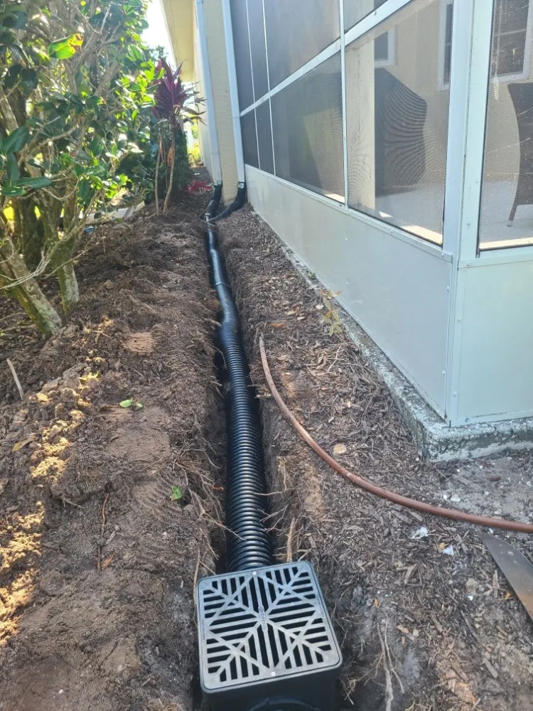 Reliable yard maintenance experts serving Sarasota, FL - Lopez Ordonez Landscaping Services