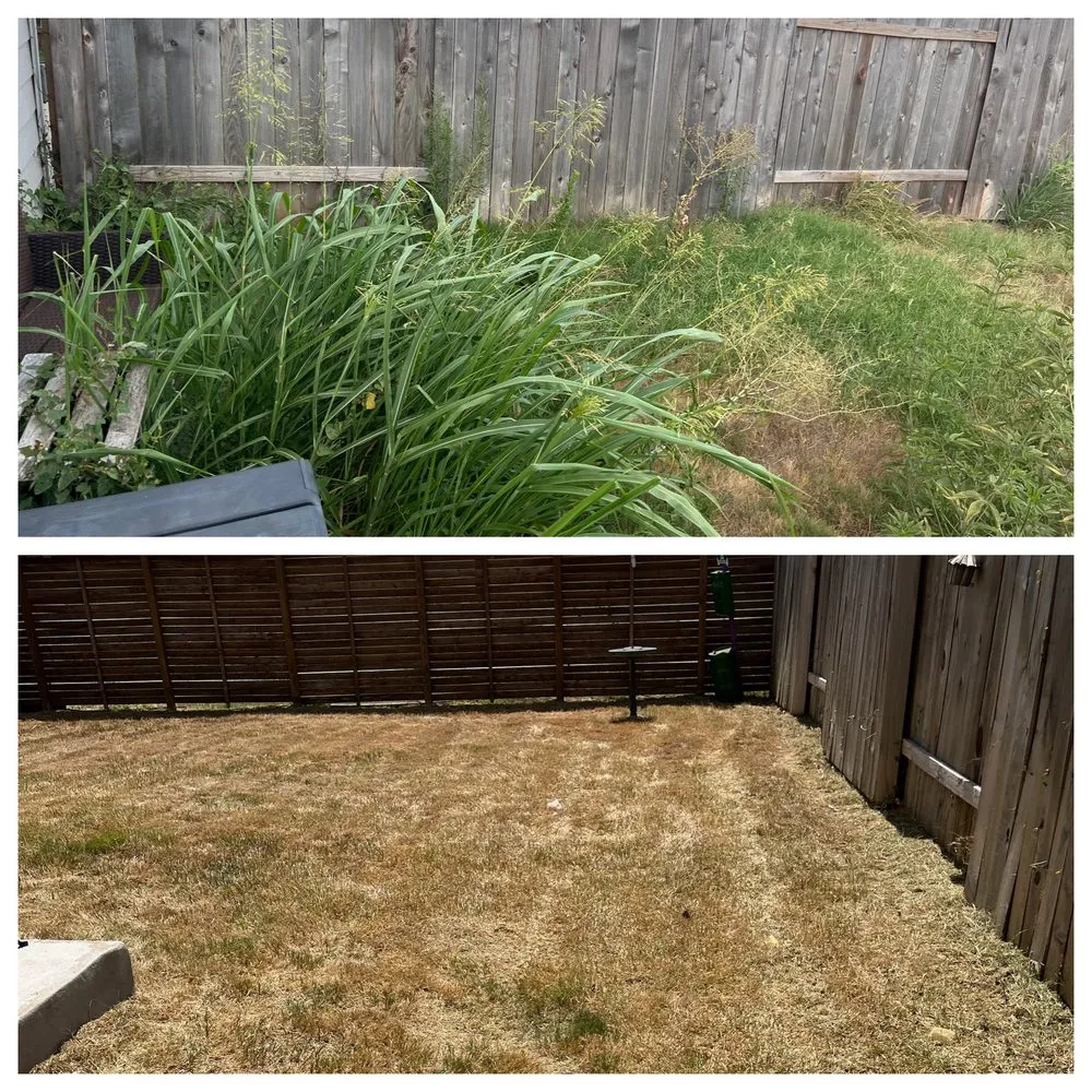 Top-rated lawn mowing service for beautiful yards across Austin, TX - Lopez Painting and Welding