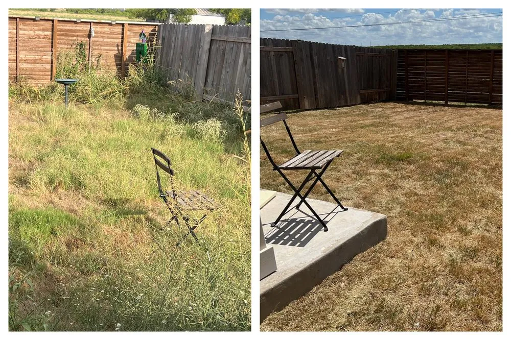 Expert lawn mowing service in Austin, TX by Lopez Painting and Welding