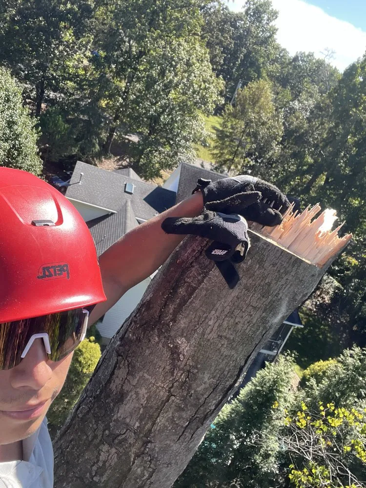 Affordable lawn care service experts serving Chattanooga, TN - Lopez Perez Tree Service