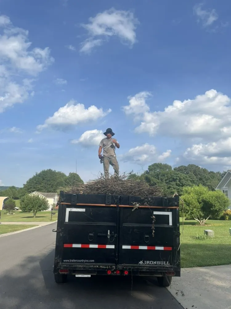 Affordable outdoor landscaping near you in Chattanooga, TN by Lopez Perez Tree Service