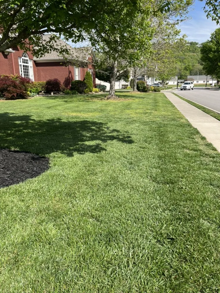 Expert yard cleanup service for residential properties in Chattanooga, TN by Lopez Perez Tree Service