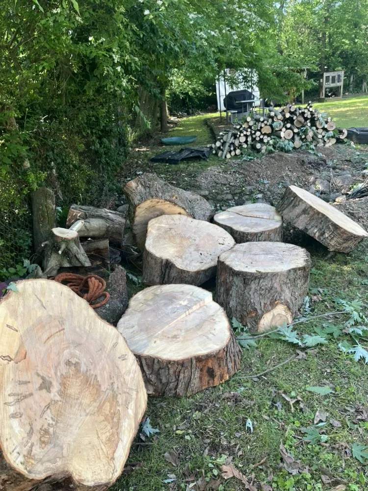 Professional landscape installation in Chattanooga, TN by Lopez Perez Tree Service