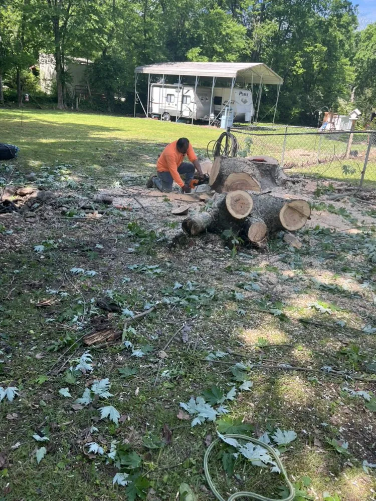 Trusted residential landscaping experts serving Chattanooga, TN - Lopez Perez Tree Service