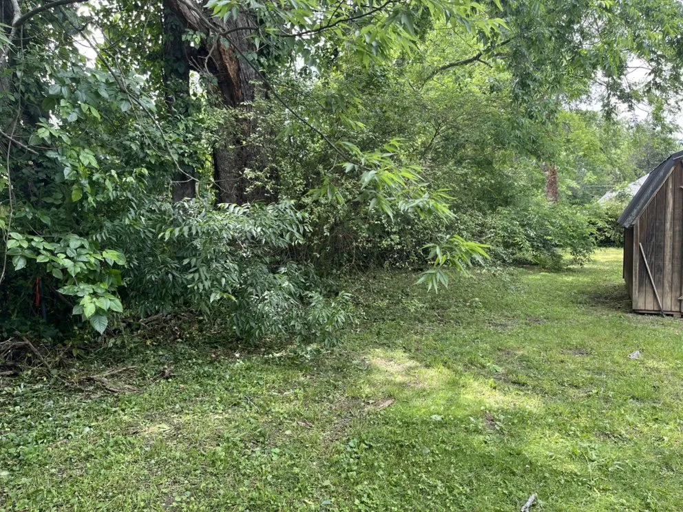 Affordable yard cleanup service in Chattanooga, TN - Lopez Perez Tree Service