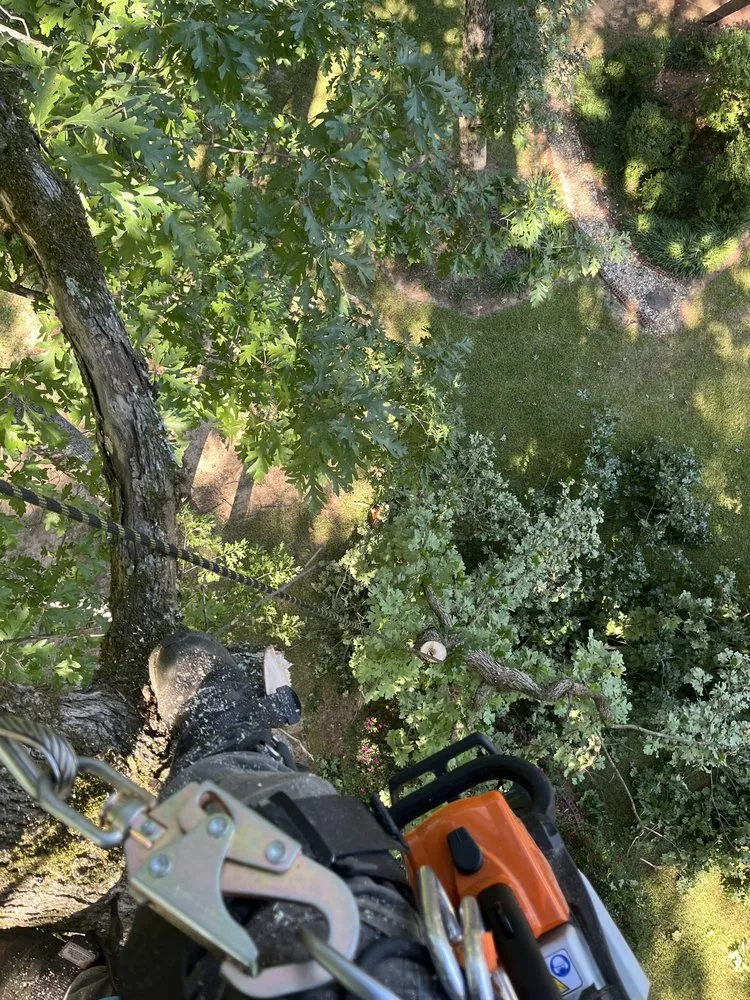 Affordable outdoor landscaping in Chattanooga, TN - Lopez Perez Tree Service