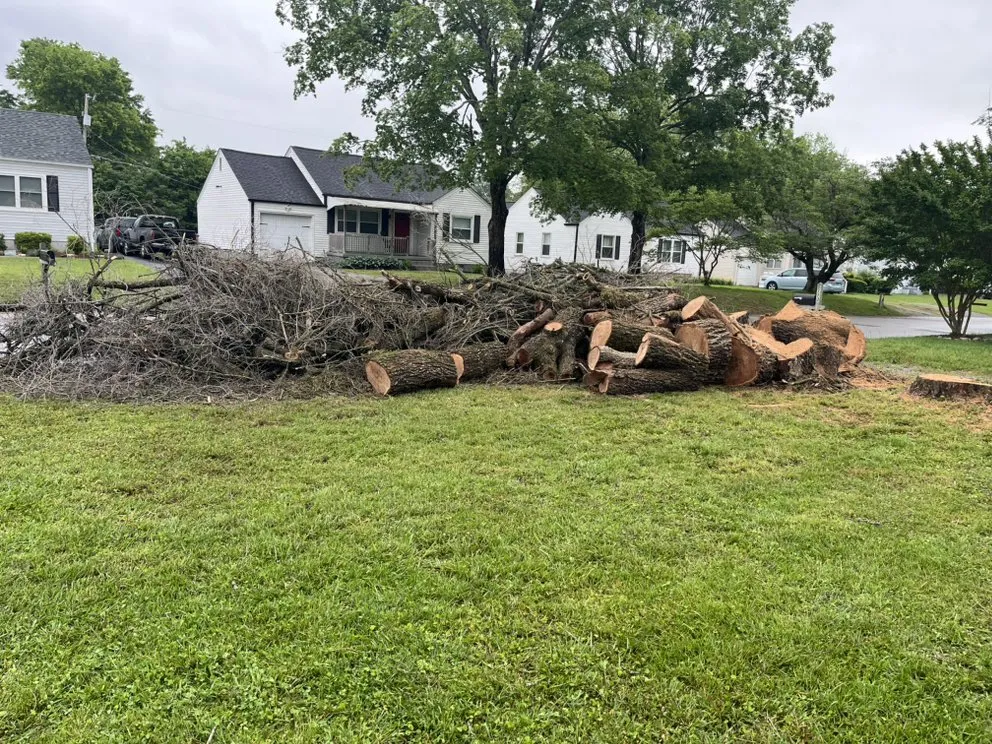 Top-rated landscape installation in Chattanooga, TN by Lopez Perez Tree Service