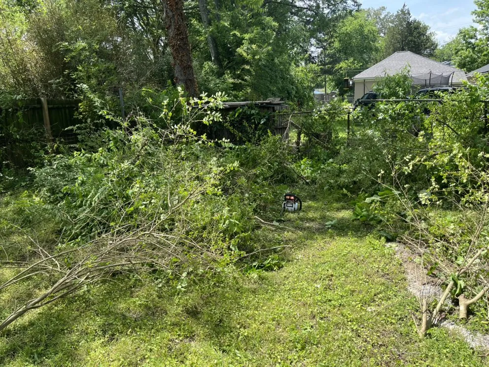 Expert landscaping services for year-round maintenance across Chattanooga, TN - Lopez Perez Tree Service