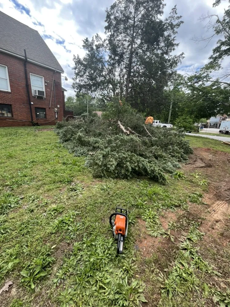 Affordable landscape installation near you in Chattanooga, TN by Lopez Perez Tree Service