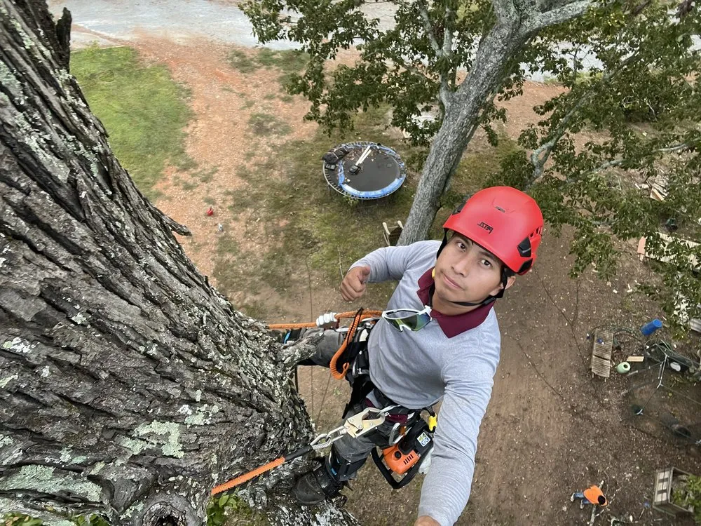 Custom lawn care service with custom design across Chattanooga, TN - Lopez Perez Tree Service