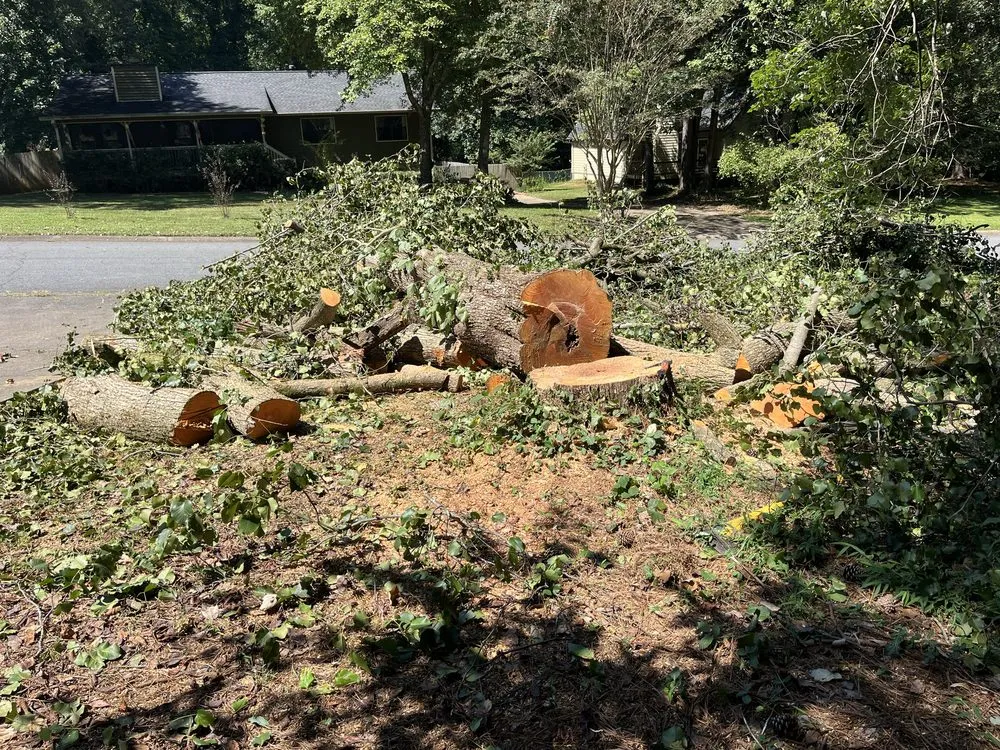 Top-rated garden landscaping experts serving Chattanooga, TN - Lopez Perez Tree Service