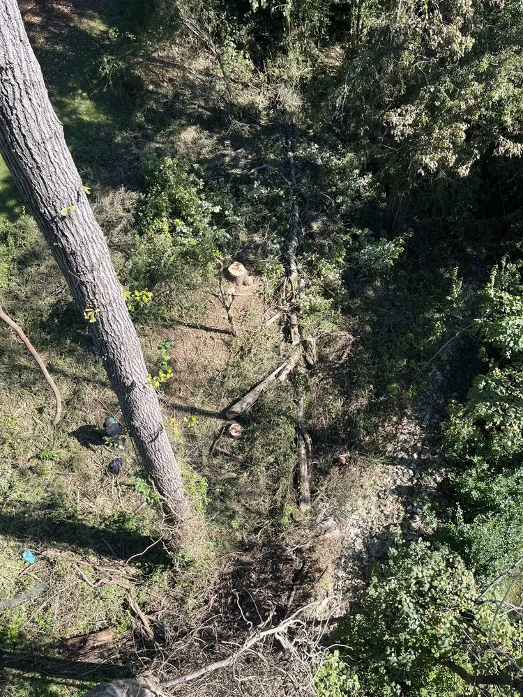 Custom yard cleanup service in Chattanooga, TN - Lopez Perez Tree Service