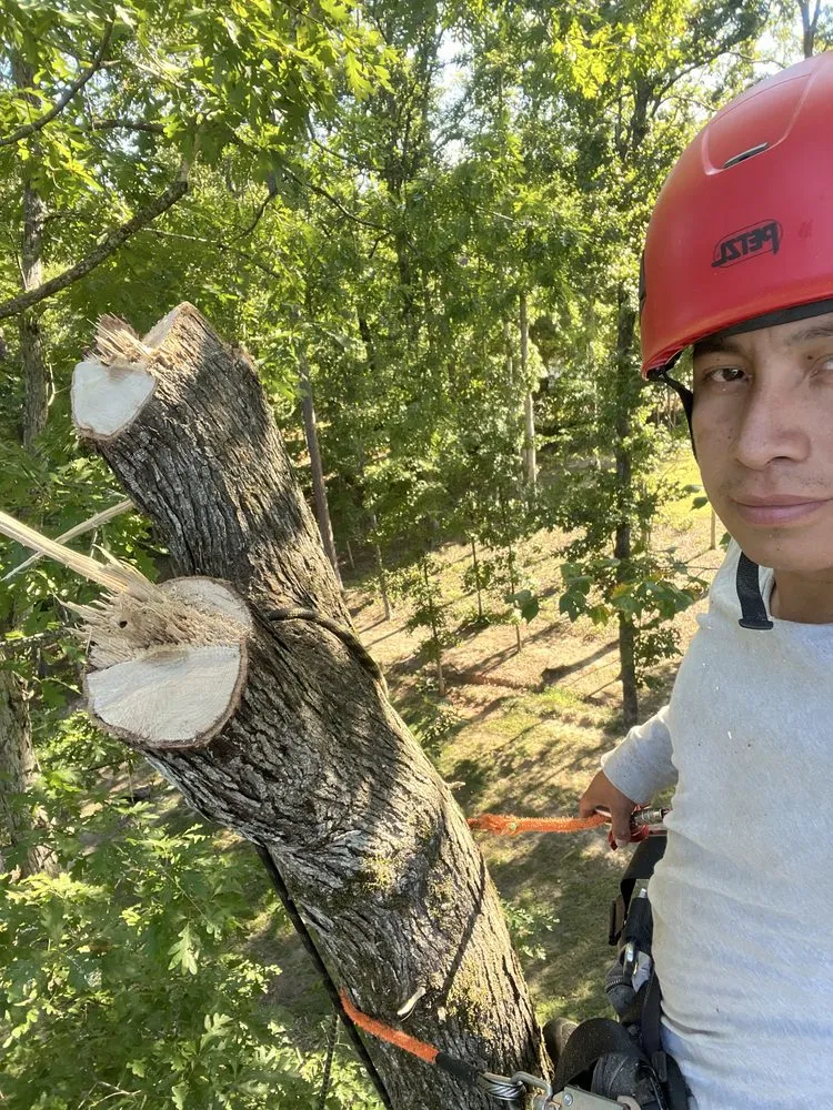 Expert landscape design experts serving Chattanooga, TN - Lopez Perez Tree Service