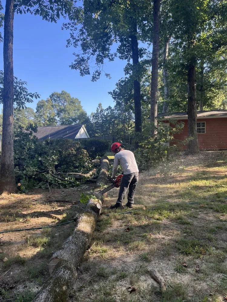 Local yard cleanup service experts serving Chattanooga, TN - Lopez Perez Tree Service