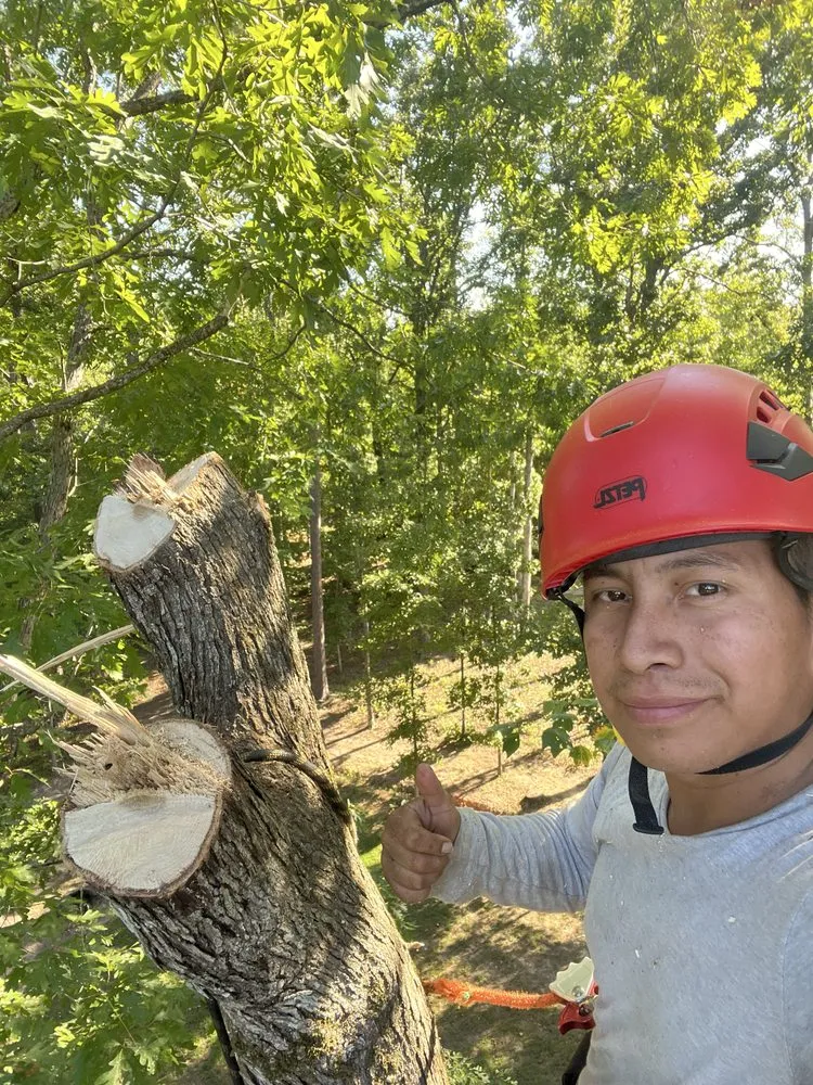 Trusted garden landscaping experts serving Chattanooga, TN - Lopez Perez Tree Service