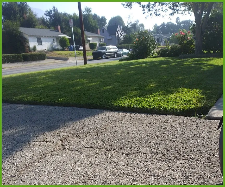 Reliable lawn care service in Pasadena, CA - Lopez Premier Landscaping