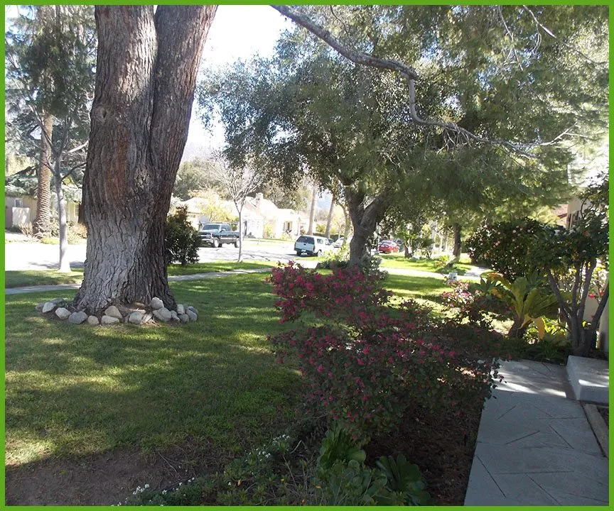 Local yard cleanup service in Pasadena, CA - Lopez Premier Landscaping