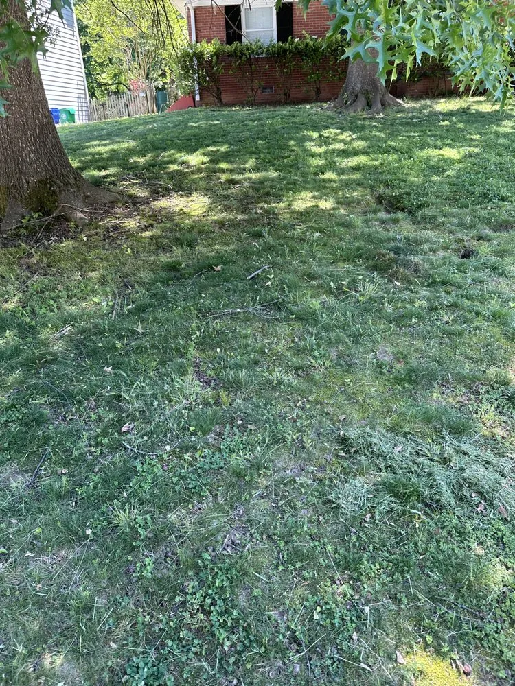 Local landscape installation for residential properties across Chamblee, GA - Lopez Remodeling