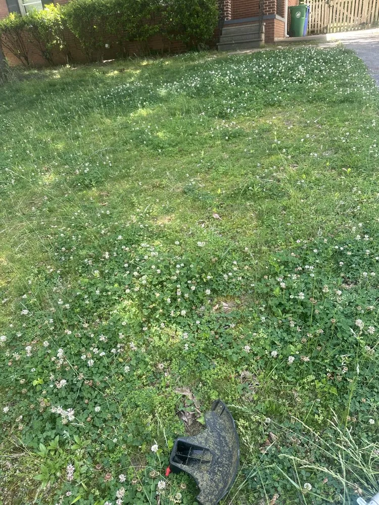 Top-rated outdoor landscaping in Chamblee, GA by Lopez Remodeling