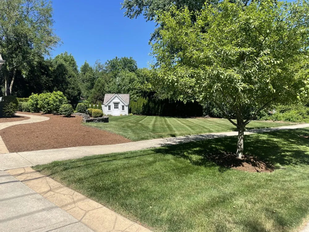 Reliable yard cleanup service experts serving West Chicago, IL - Lopez Tree and Landscaping