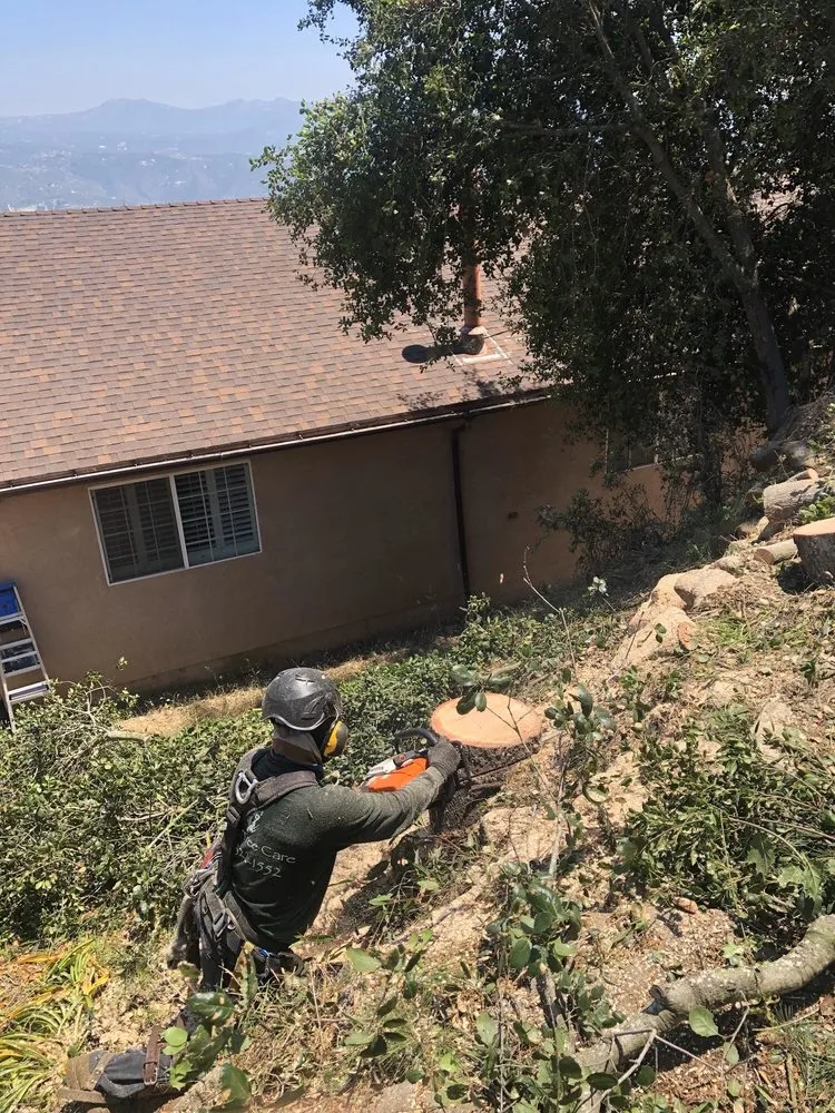 Expert lawn mowing service for outdoor upgrades in El Cajon, CA by Lopez Tree Care