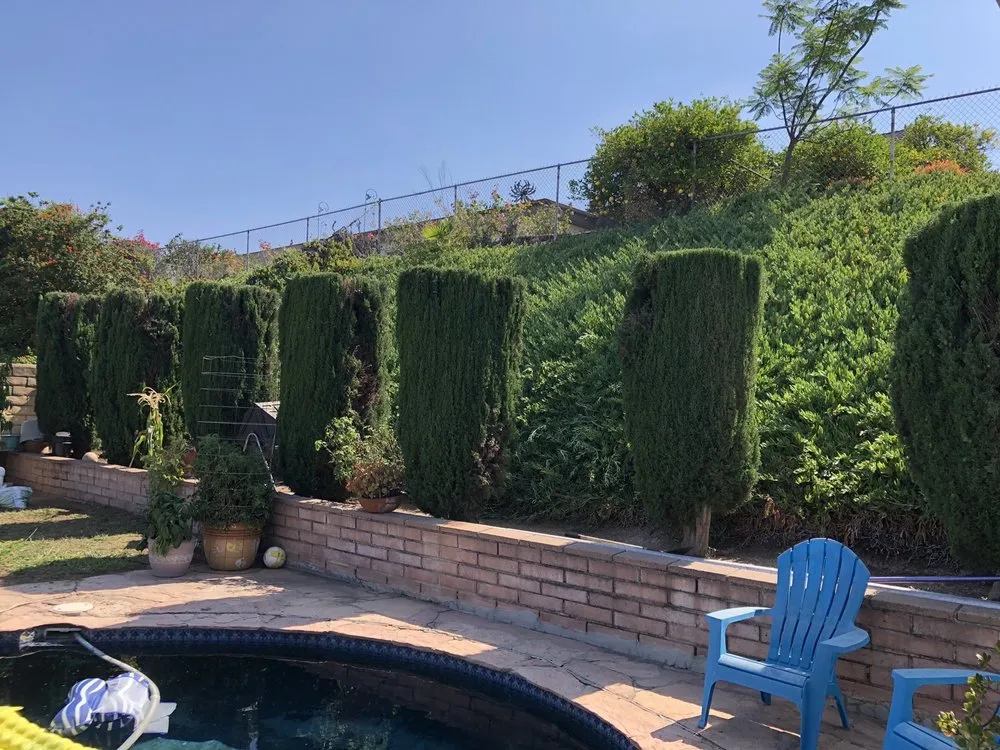 Trusted lawn care service near you across El Cajon, CA - Lopez Tree Care