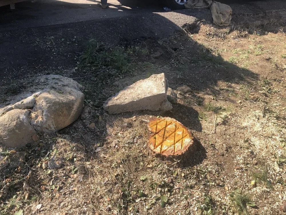 Expert yard maintenance for homes in El Cajon, CA by Lopez Tree Care