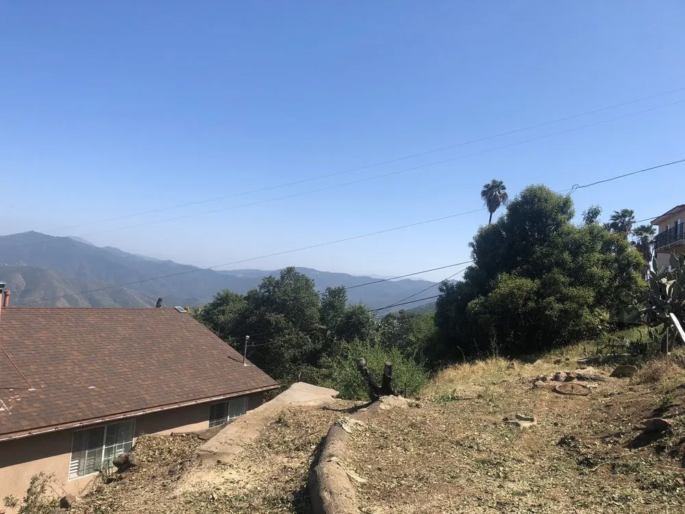 Affordable lawn care service in El Cajon, CA by Lopez Tree Care