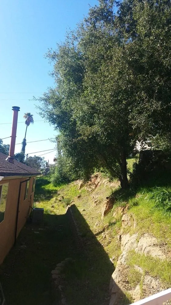 Local landscape design for outdoor upgrades across El Cajon, CA - Lopez Tree Care