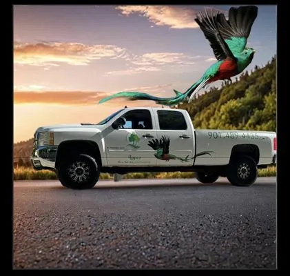 Lopez Tree Service & Landscaping