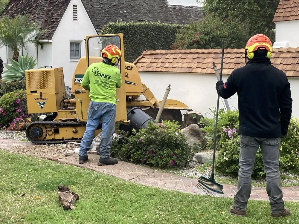 Local outdoor landscaping for year-round maintenance in Altadena, CA by Lopez Tree Service