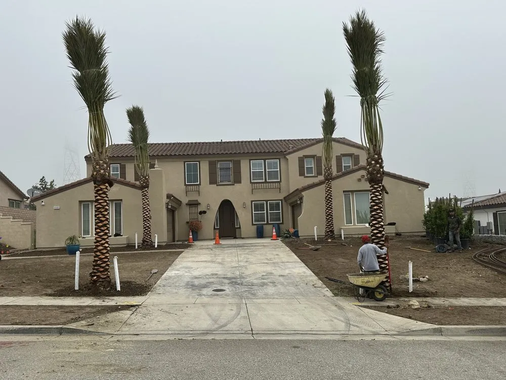 Reliable yard cleanup service experts serving Altadena, CA - Lopez Tree Service