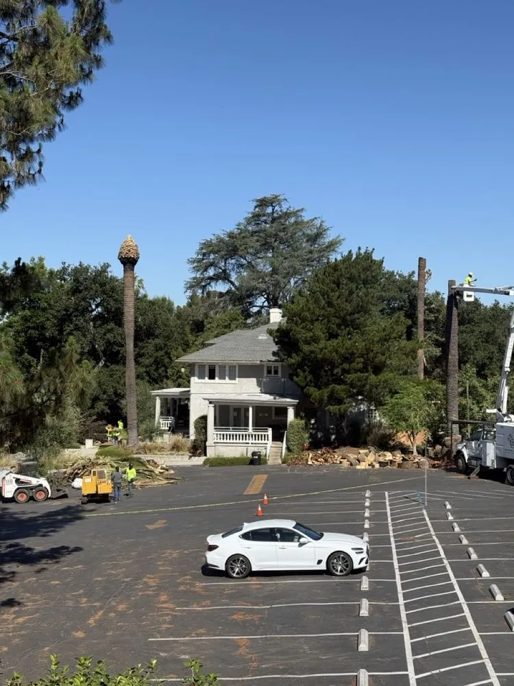 Local lawn mowing service near you across Altadena, CA - Lopez Tree Service