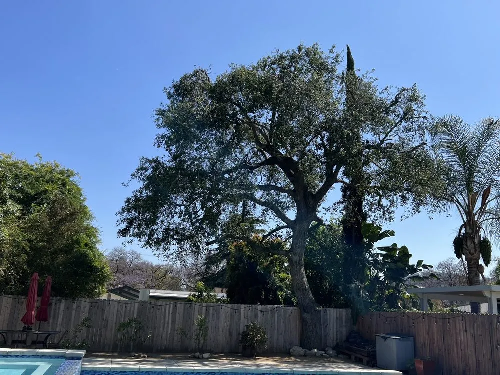 Custom residential landscaping experts serving Altadena, CA - Lopez Tree Service