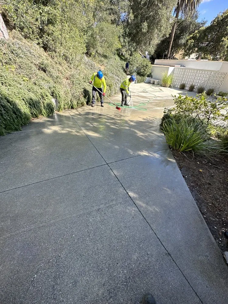 Reliable yard cleanup service in Altadena, CA - Lopez Tree Service